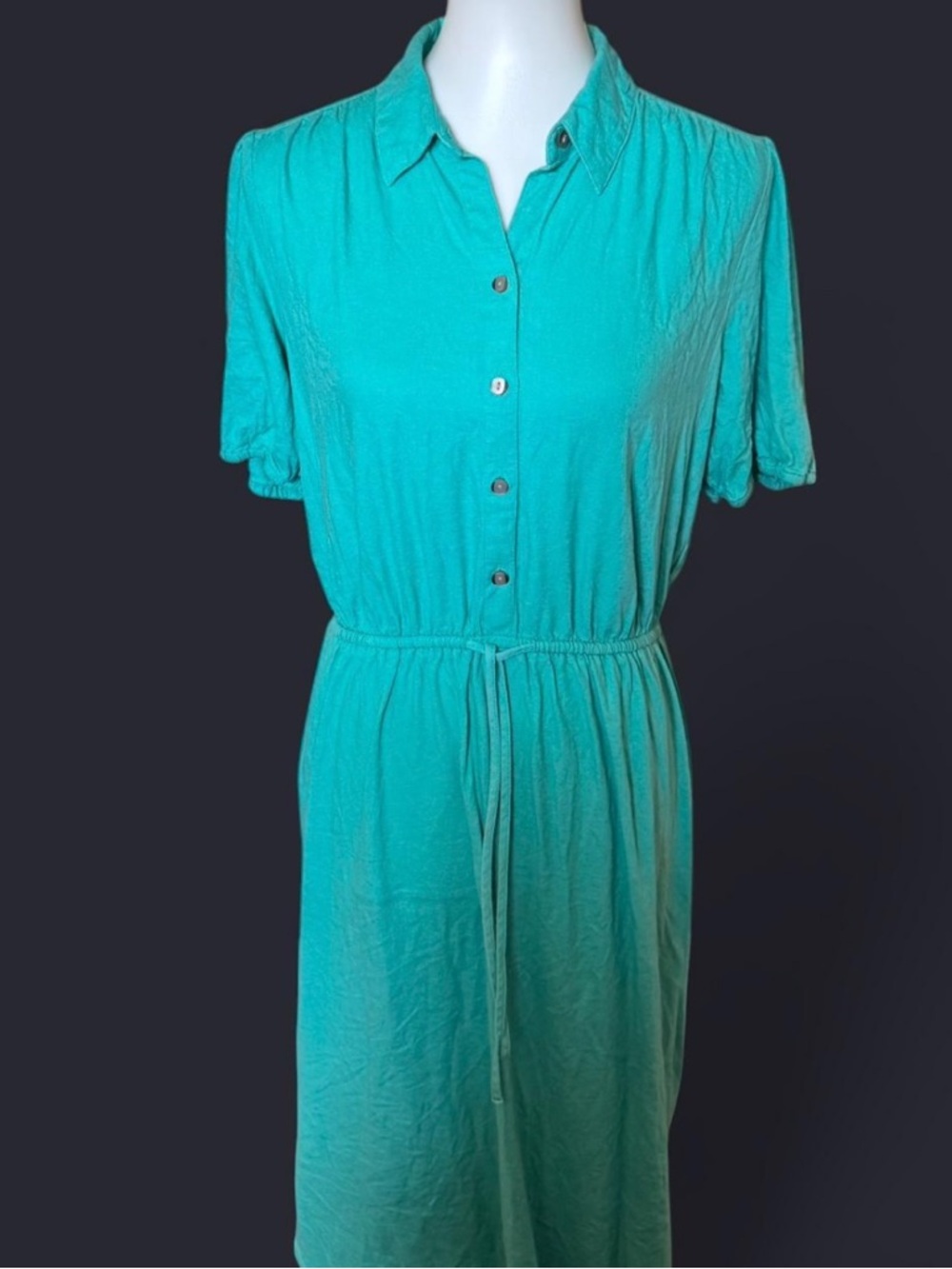 NWOT Loft Green Linen/Viscose Maxi Dress Size LP